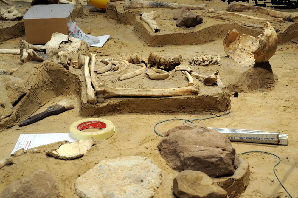 Archäologische Grabungslandschaft, Höxter (Quelle: LWL-Museum für Archäologie / Mark Tewissen)