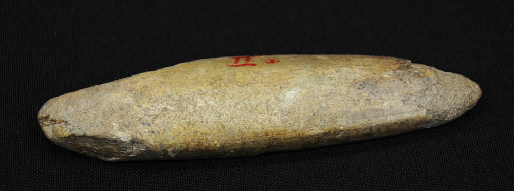 Von einem Neandertaler bearbeiteter Teil Mammutknochens, das möglicherweise fest in einem hölzernen Schaft verklebt war, 80.000-40.000 v. Chr. (Quelle: LWL-Museum für Archäologie / Mark Tewissen)